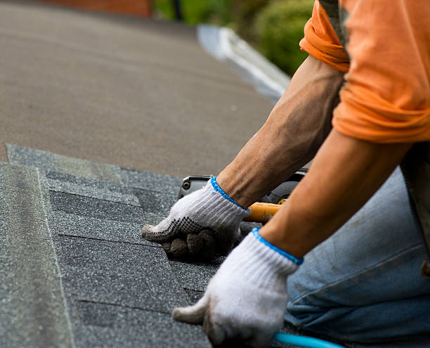 Best Local Roofing Companies  in Lindsay, TX
